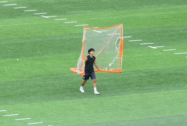 还是想要在