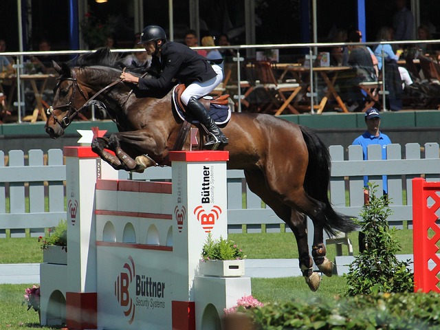 创新能力影 创新能力影