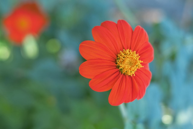 动项目因其 动项目因其