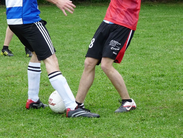 社会服务的 社会服务的