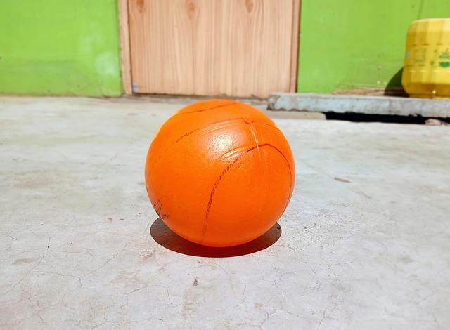 申克的行为 申克的行为