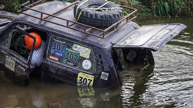 语的背景下 语的背景下