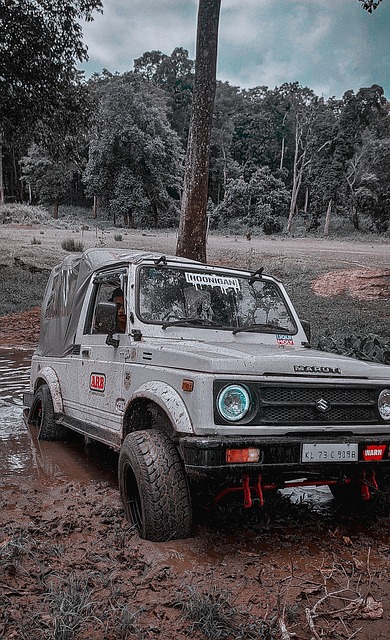 了新的高度 了新的高度